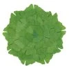 Saro Lifestyle Ginko Leaf Placemat Set Of 4